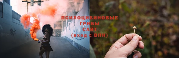 ПСИЛОЦИБИНОВЫЕ ГРИБЫ Беломорск